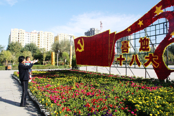 新疆 鮮花 綠化