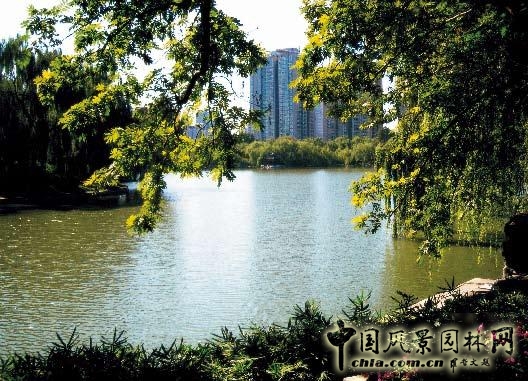 劉秀晨 綠色的云  城市園林 規劃 設計 中國風景園林網