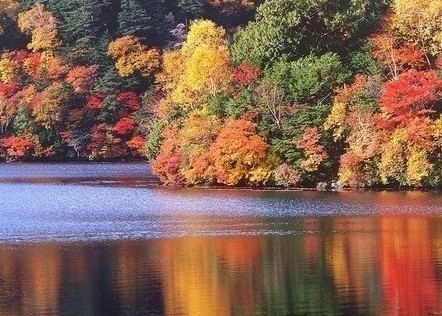 四川 紅葉 九寨溝