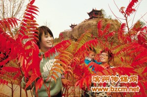 山東 紅葉 碣石山