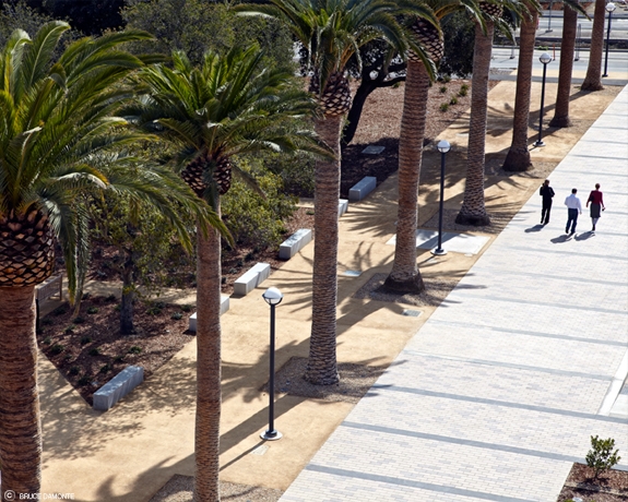 中國風景園林網 規劃設計