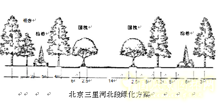 劉秀晨 綠色的云 北京 城市道路 綠化 中國(guó)風(fēng)景園林網(wǎng)