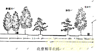 劉秀晨 綠色的云 北京 城市道路 綠化 中國(guó)風(fēng)景園林網(wǎng)
