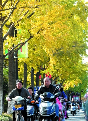 蘇州 景觀 植物