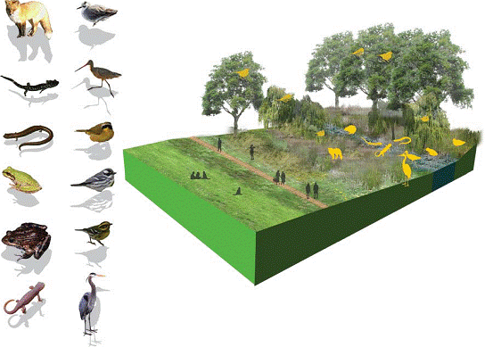 中國風(fēng)景園林網(wǎng) 規(guī)劃設(shè)計