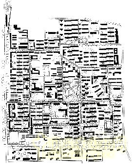 劉秀晨 綠色的云 古城 花園化建設 居住區(qū)綠化 中國風景園林網(wǎng)