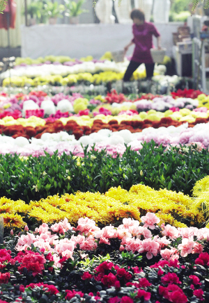 立體化 原生態(tài) 天津 園林綠化 中國風(fēng)景園林網(wǎng)