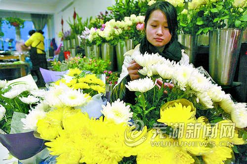 江城 菊花 市場