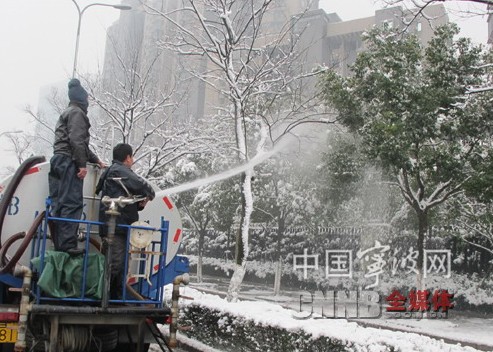 園林 行道樹 養護管理