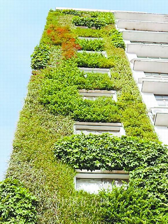 立體綠化 綠化墻 武漢