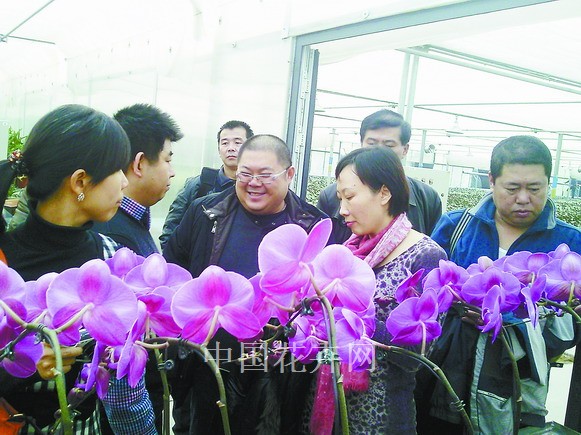 行道樹 養護 管理