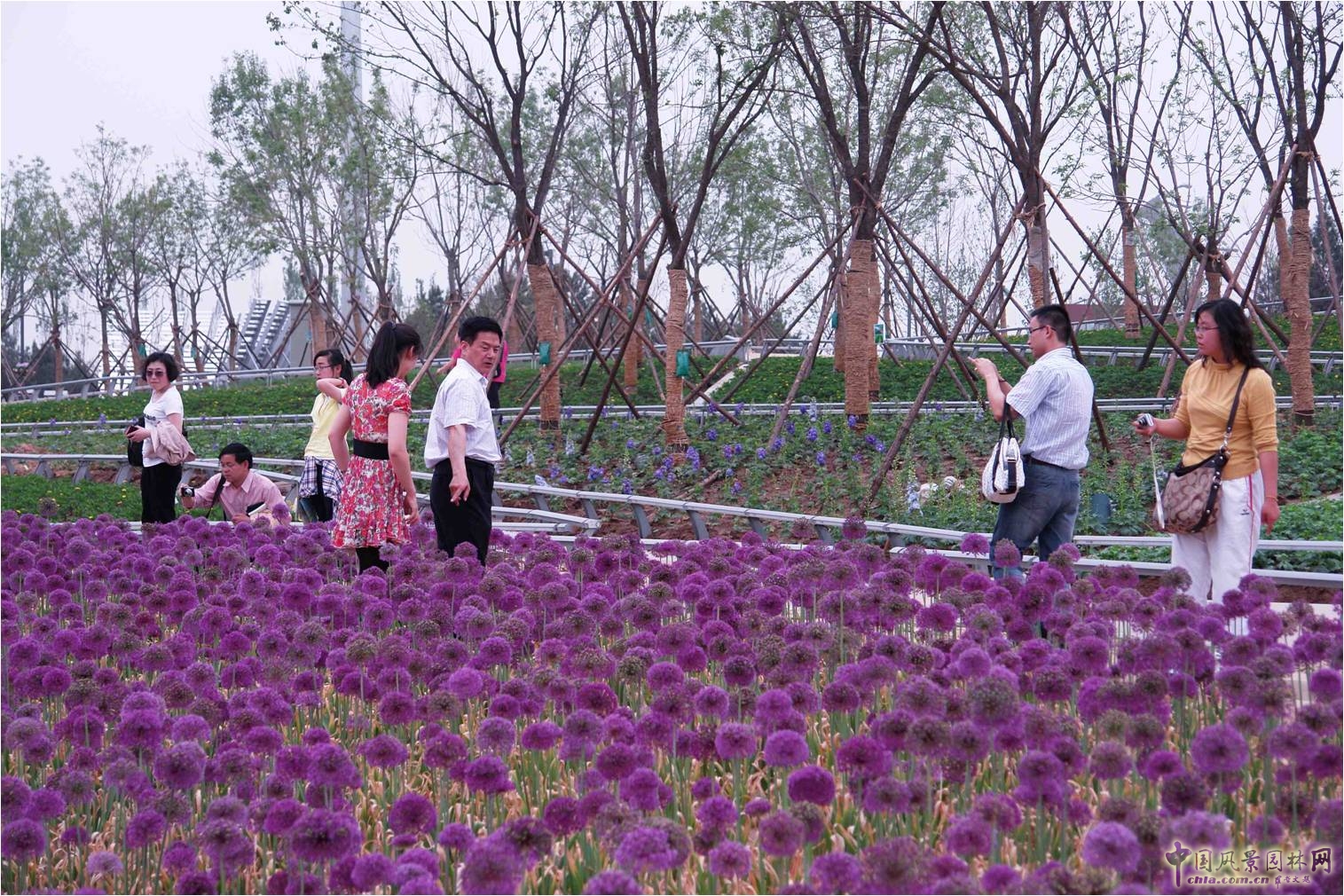 Eva Castro 都市景觀主義 風景園林師論壇 中國風景園林網