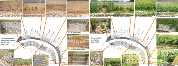 Florian Zimmermann 水敏城市 設計 高峰論壇 中國風景園林網