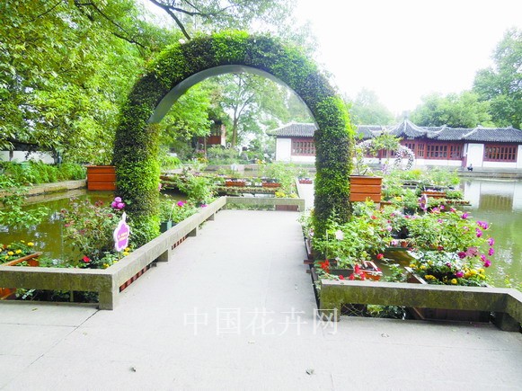 月季 栽培 養護