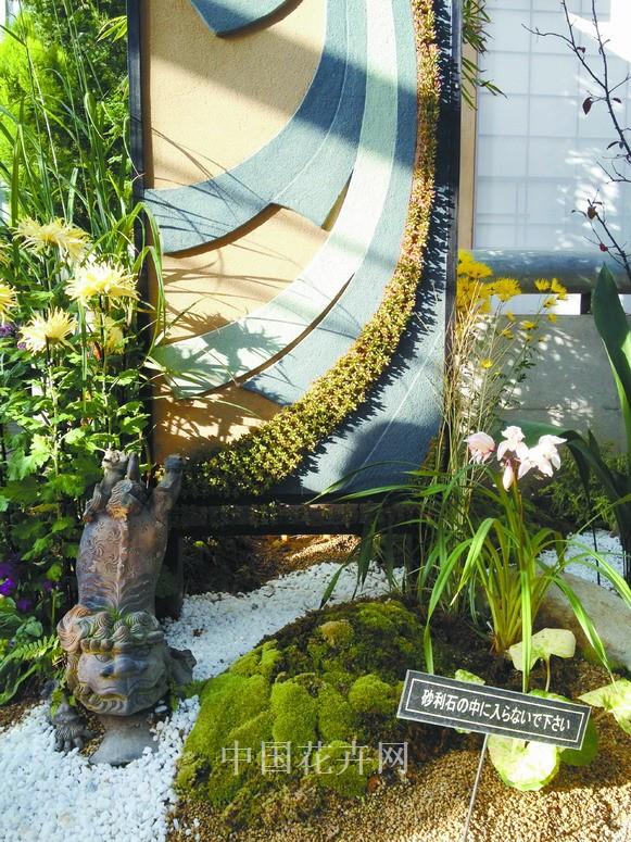 植物墻 立體綠化 植物配置