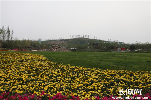 石家莊 綠化 景觀