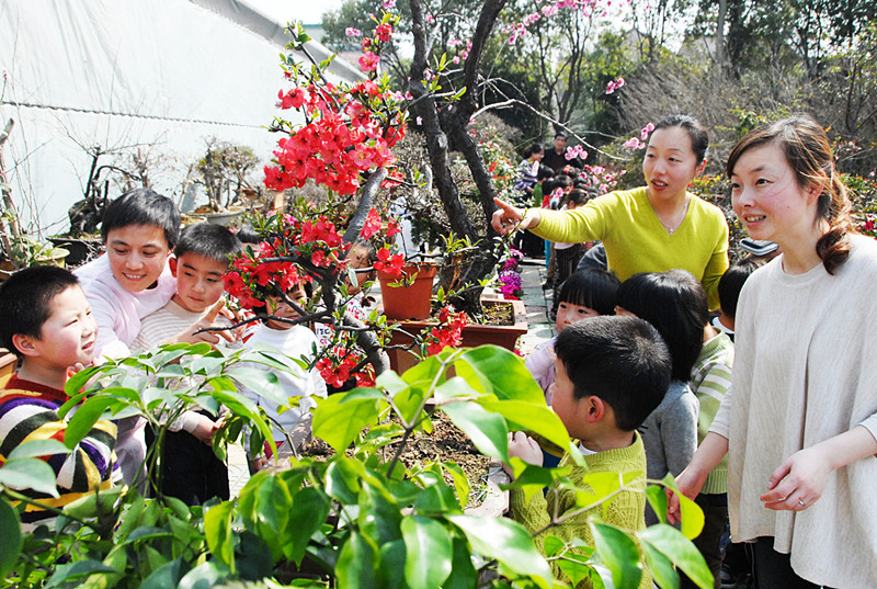 中國風景園林網 植物造景