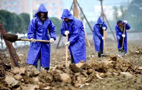 城市之肺 園林城市