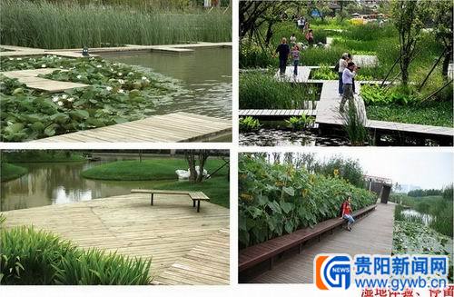 親水平臺(tái)效果圖