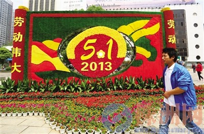 湖南 花卉 五一