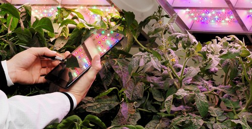 植物研究 植物科學 園藝 LED照明系統(tǒng)