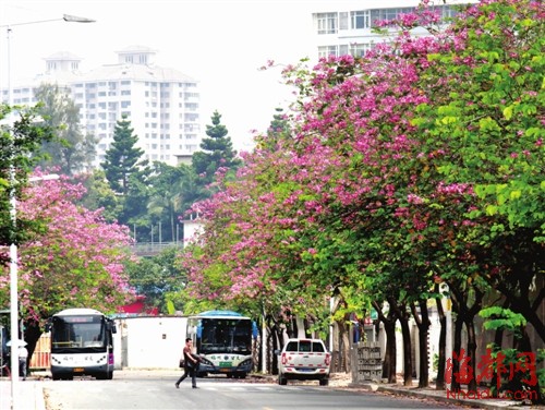榕城 綠化 景觀