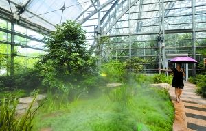 南山植物園 養(yǎng)護(hù) 管理