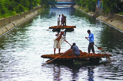 南京栽種植物改善水環(huán)境