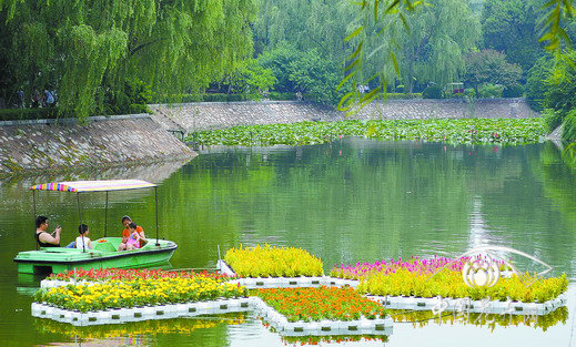 公園 草花 植物造景