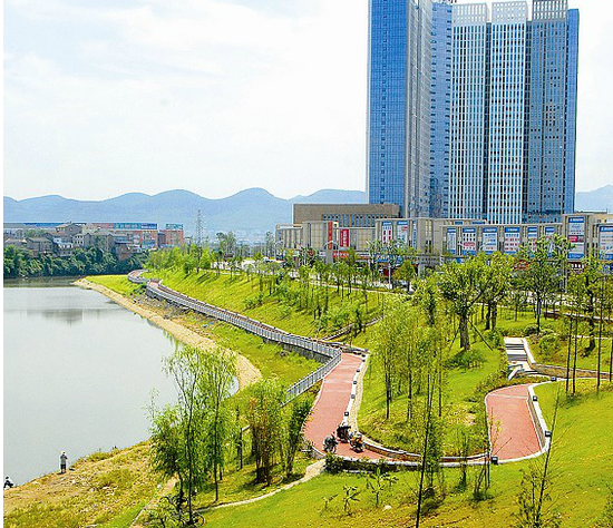 伍家崗柏臨河護坡綠化景觀 