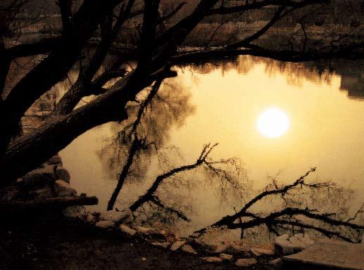 劉秀晨 綠色的云 城市規劃 風景園林 城市建設 中國風景園林網