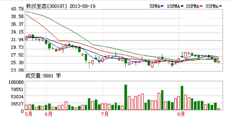 鐵漢生態 景觀工程 景觀園林