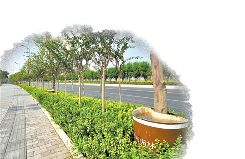 巴南：自研“神器”確保園林植物滋潤(rùn)度夏