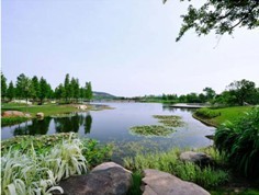 水生態(tài)設(shè)計(jì)