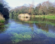 水生態(tài)設(shè)計(jì)