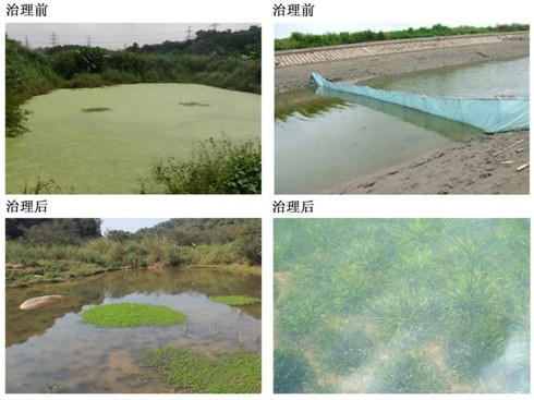 水庫(kù)生態(tài)治理