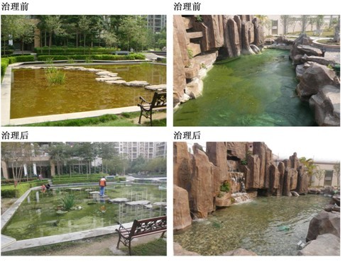 城市景觀生態(tài)治理