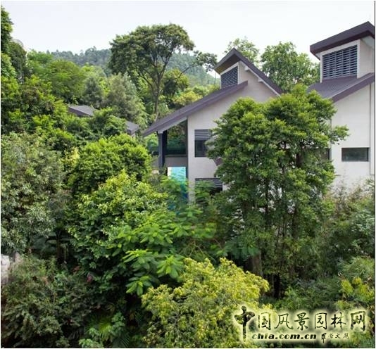 新山水 體驗(yàn)式景觀 山水城市 山水文化 古典園林