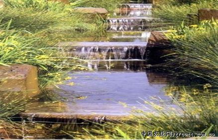 波特蘭雨水花園