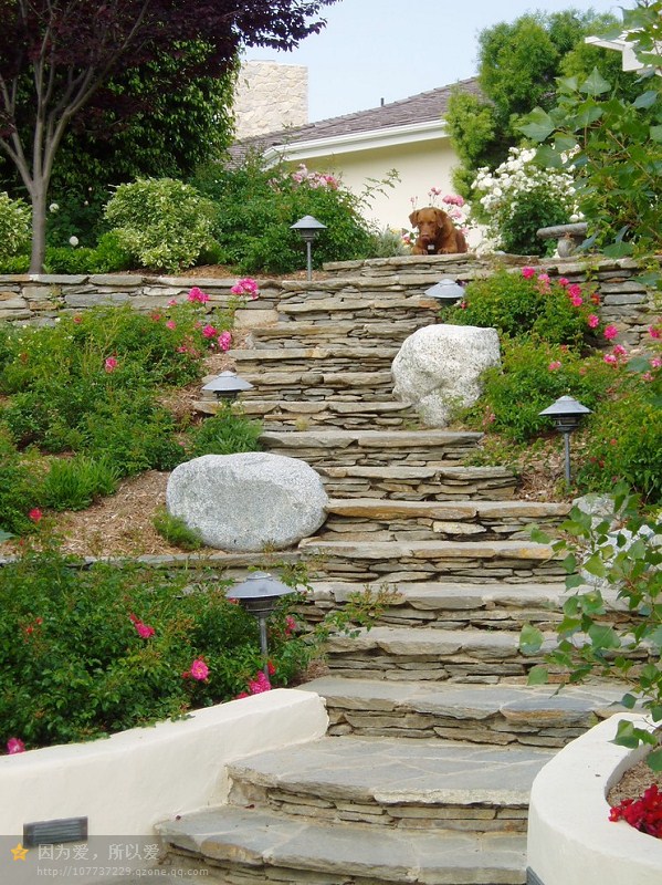 兩塊景石在這里成為軟化硬景的手法