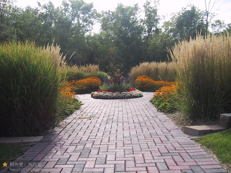 實際上對稱平衡不僅僅用喬木，景觀草的使用也能達到軟化硬景的目的。