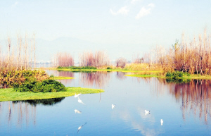 濕地公園 滇池旅游度假區 河道景觀