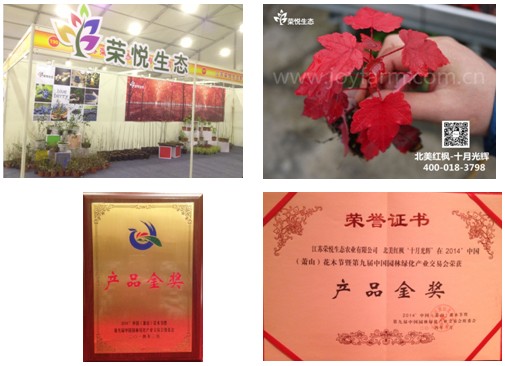 榮悅生態(tài) 十月光輝 蕭山花木節(jié)