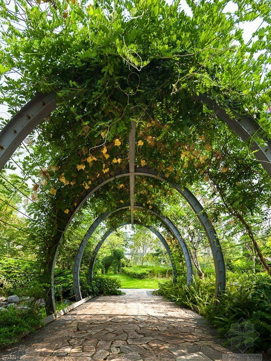 重慶兒童生態公園