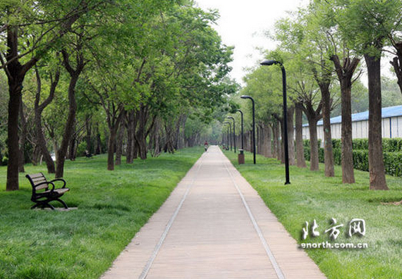 天津綠道公園日前完成部分段落建設工程