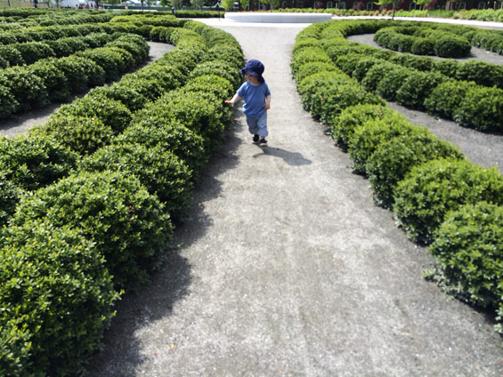 紐約市區一處遠離煩囂的靜地~總督島