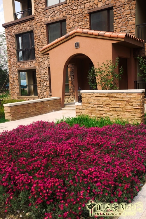 易德地景 魯旸 景觀設(shè)計 信達(dá)理想城