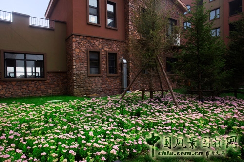 易德地景 魯旸 景觀設(shè)計 信達理想城