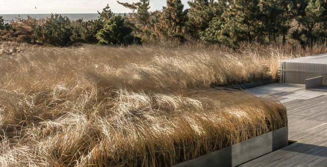 紐約薩加波納克住宅