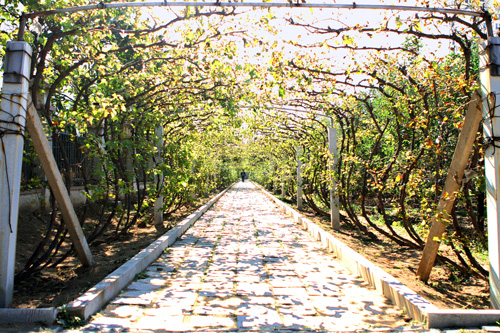 住宅景觀獎(jiǎng) 河海龍灣 易德地景 魯旸